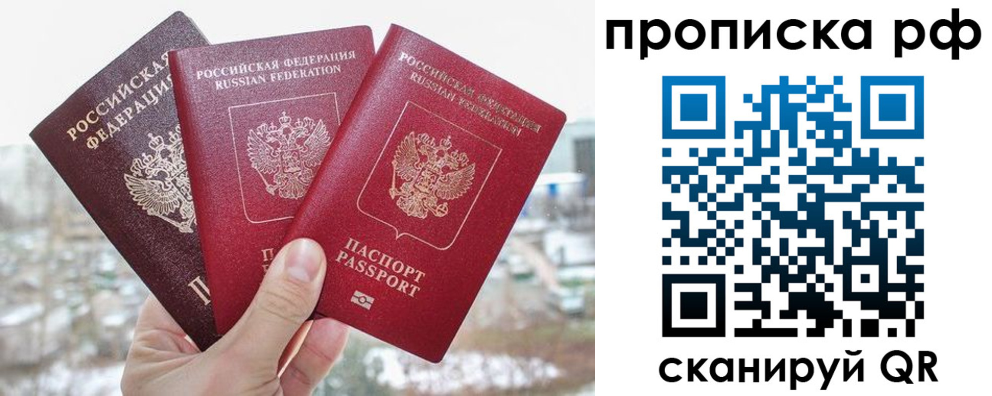 прописка в Электростали